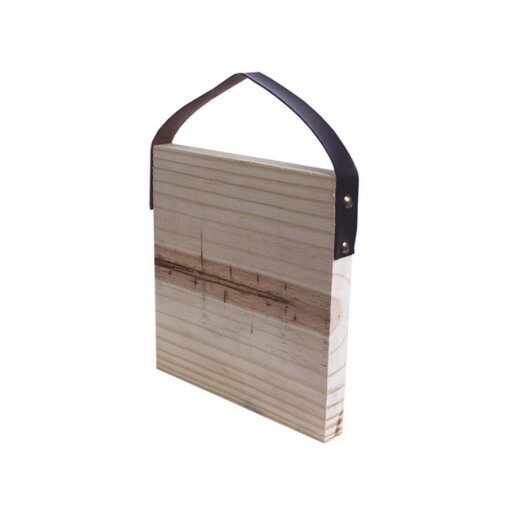 Quadro Frase Irônica Fui Catar Coquinhos