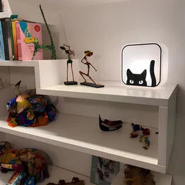 Luminária Box Black Cat