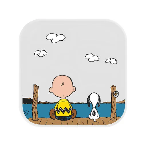Luminária Box Snoopy and Charlie Brown