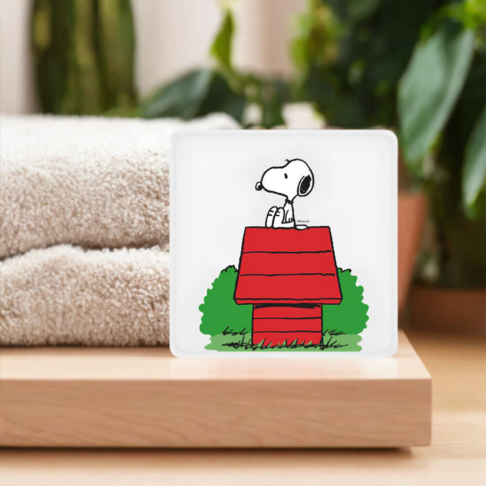 Luminária Box Slim Snoopy - Casinha