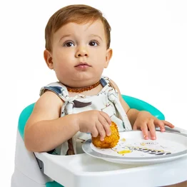 Prato Infantil Zoo Resistente a Microondas - Clingo