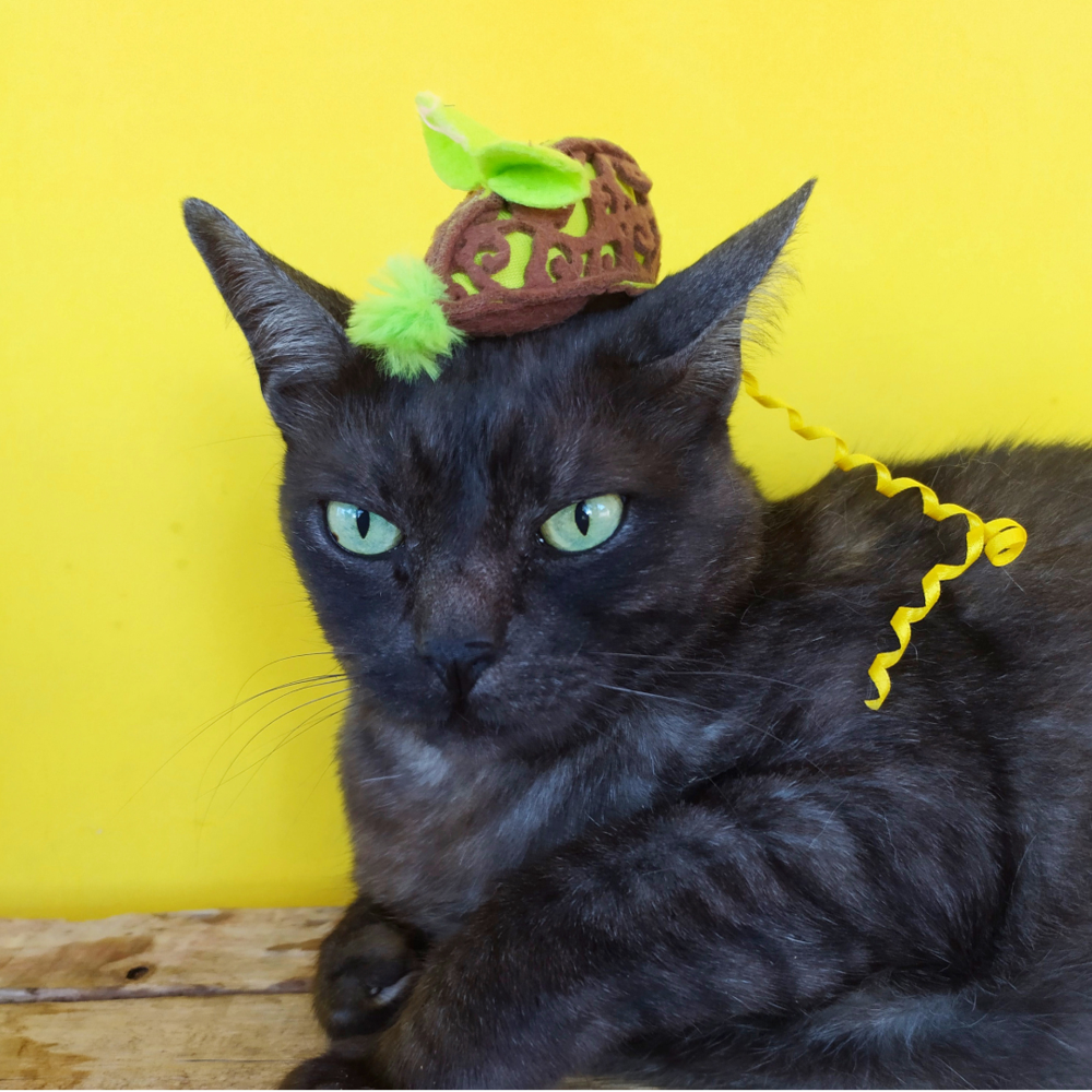 Brinquedo para Gatos Ratinho com Rabo JW Cataction Mouse Verde