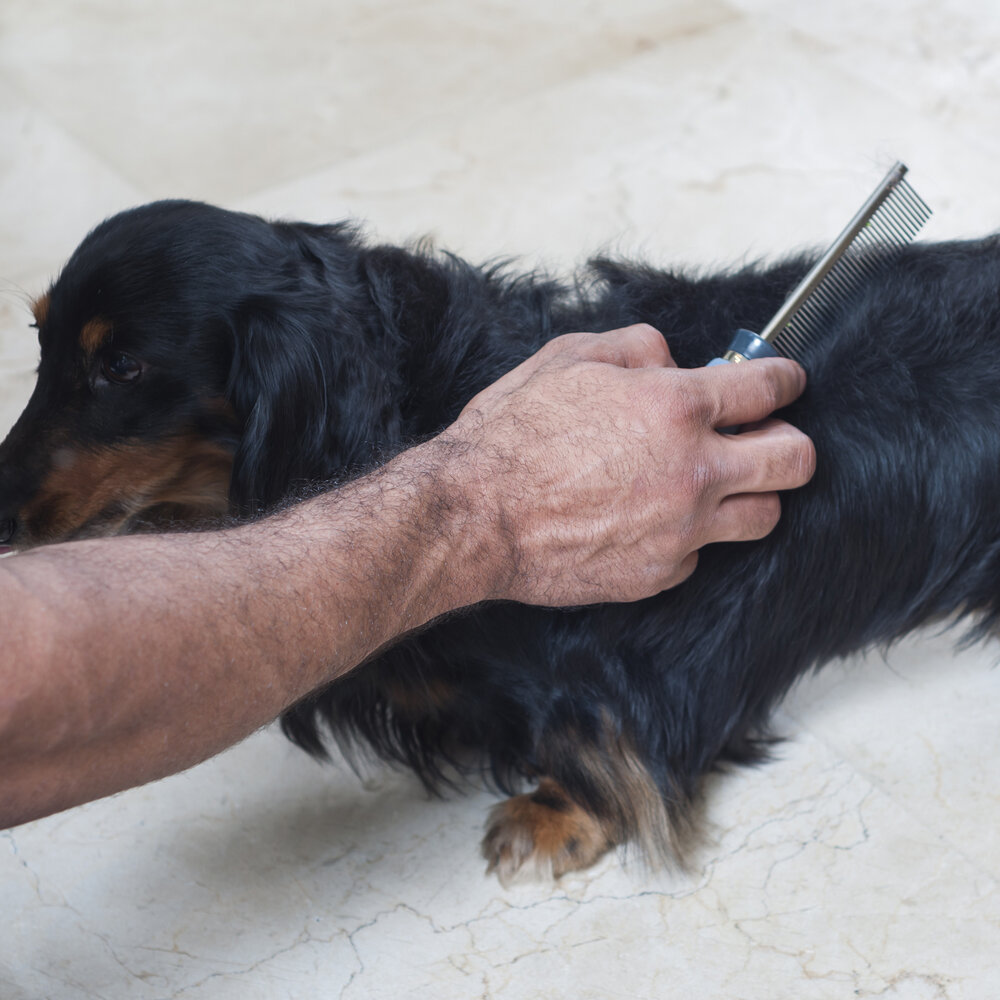 Pente Fino Cabo Gel para Pelos Pet 40 Dentes - Germanhart