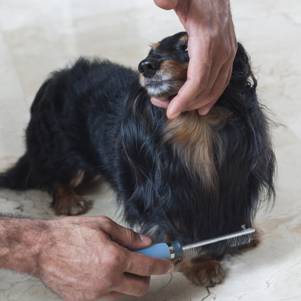 Pente Fino Cabo Gel para Pelos Pet 40 Dentes - Germanhart