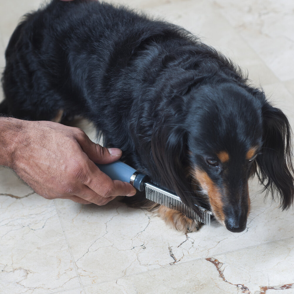 Pente Fino Cabo Gel para Pelos Pet 40 Dentes - Germanhart
