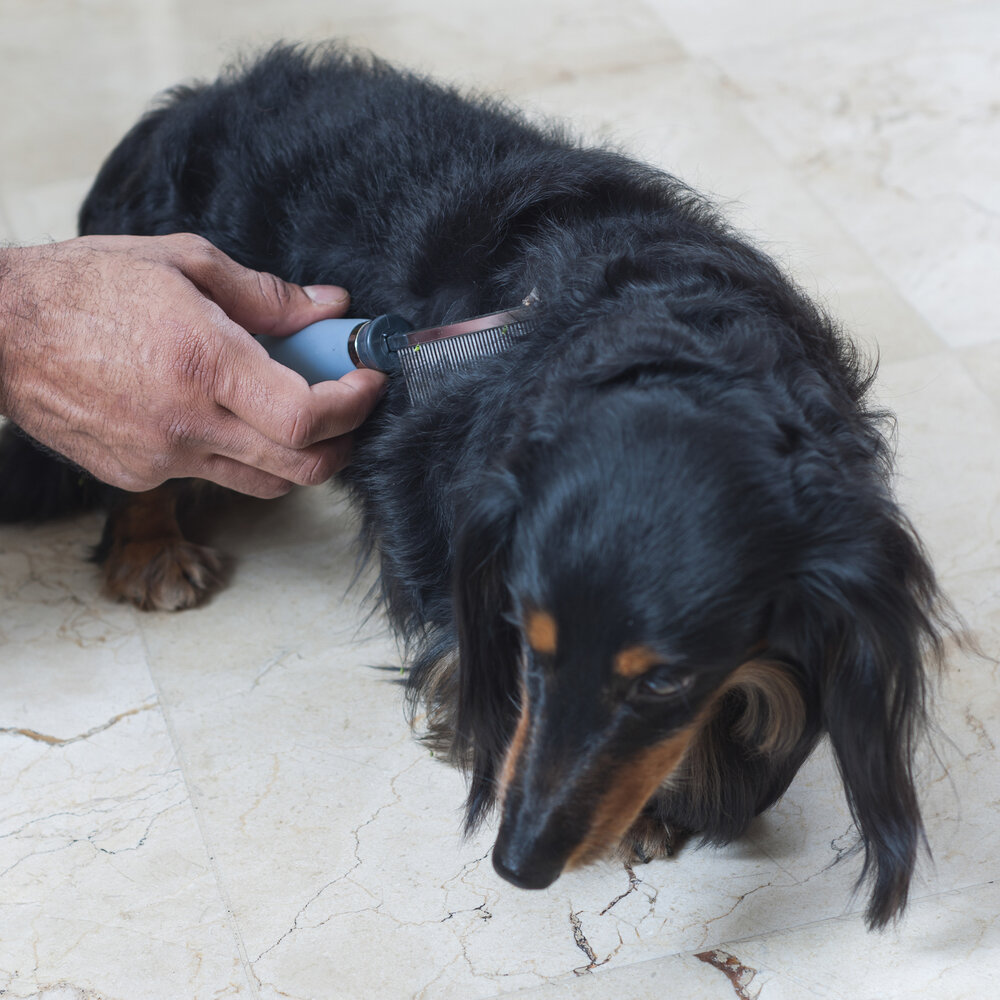 Pente Fino Cabo Gel para Pelos Pet 40 Dentes - Germanhart