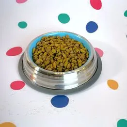 Kit 2 Comedouros Inox Premium Azul 210ml com Base de Silicone Cães e Gatos
