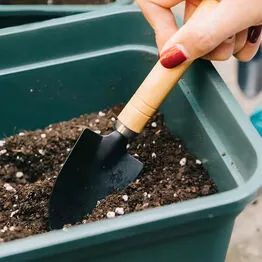 Conjunto para Jardinagem em Casa 3 Peças
