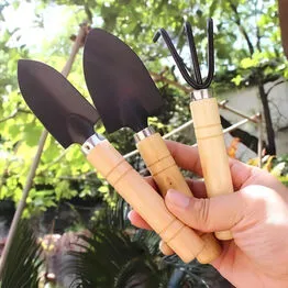 Conjunto para Jardinagem em Casa 3 Peças
