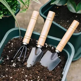 Conjunto para Jardinagem em Casa 3 Peças