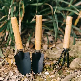 Conjunto para Jardinagem em Casa 3 Peças