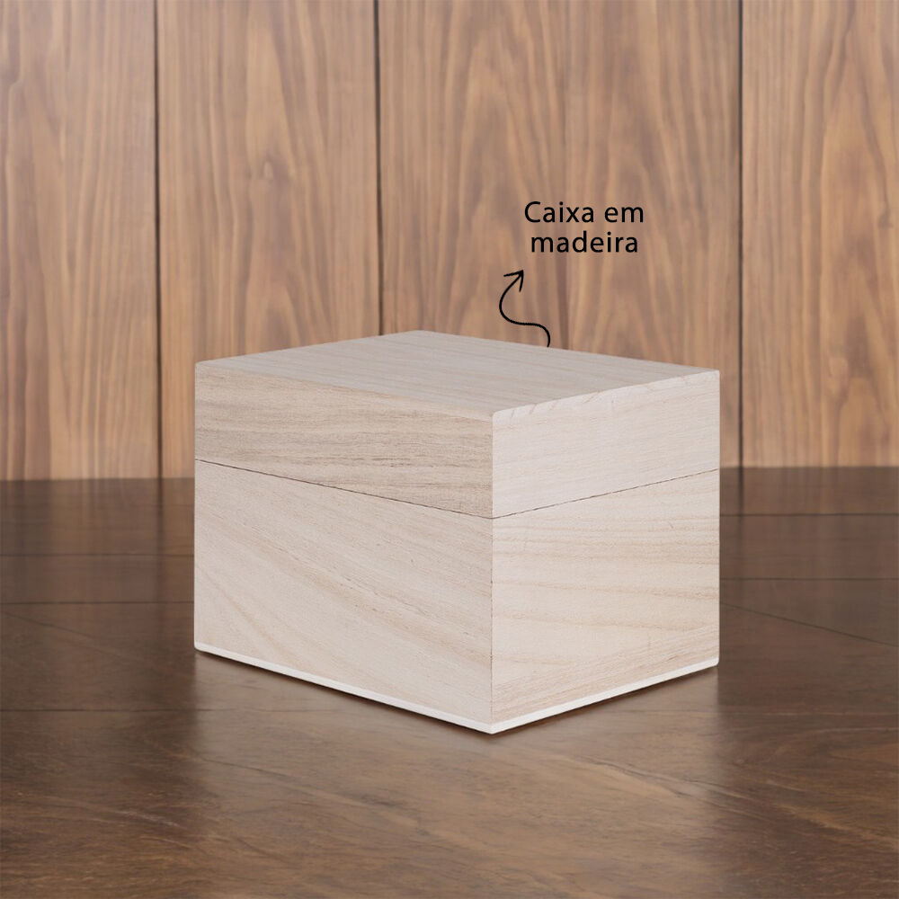 Kit Copo para Whisky + Pegador de Gelo + 3 Cubos de Pedra-sabão e Caixa de Madeira
