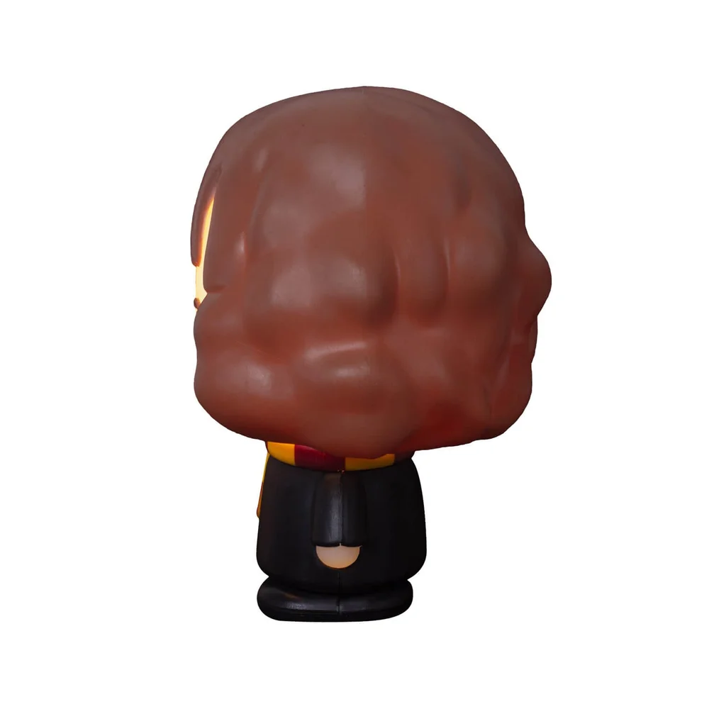 Luminária 3D Hermione Harry Potter Oficial Decoração Criativa
