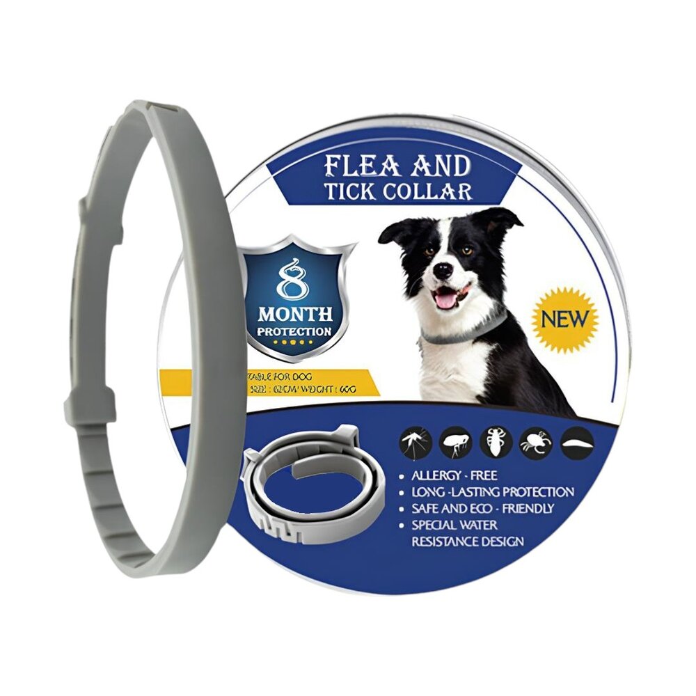 Coleira Antipulgas Para Cães Ajustável 63cm Cinza Óleo Essencial com Caixa de Alumínio