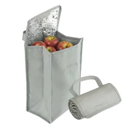 Bolsa Térmica Dobrável Interior Alumínio 4,8L Cinza