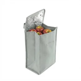 Bolsa Térmica Dobrável Interior Alumínio 4,8L Cinza