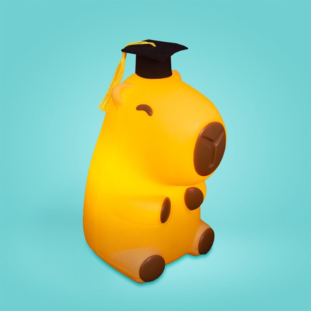 Luminária 3D Capivara Formanda Bivolt Decoração Criativa